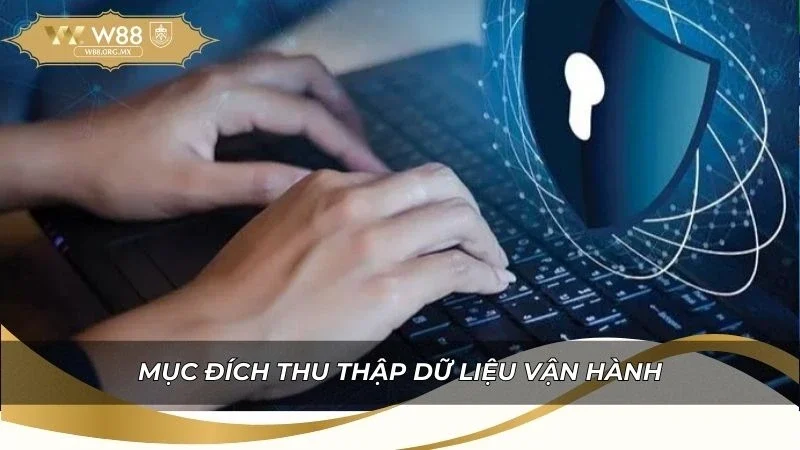 Quyền Riêng Tư W88 - Bảo Vệ Dữ Liệu Người Chơi 2026 2 Mục đích thu thập dữ liệu vận hành của nhà cái